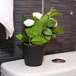 Apartman Kiko